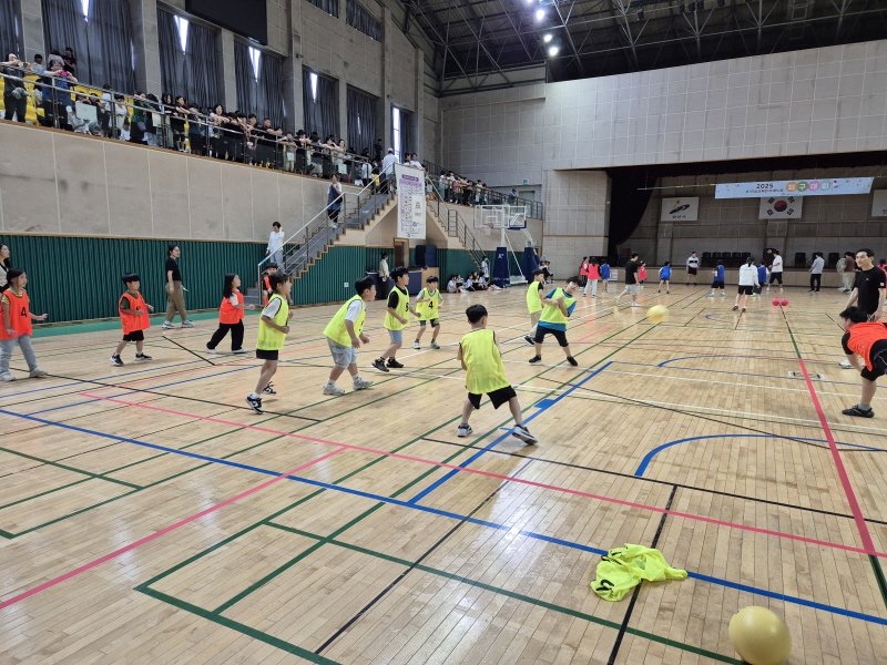 신나는 피구대회 이야기